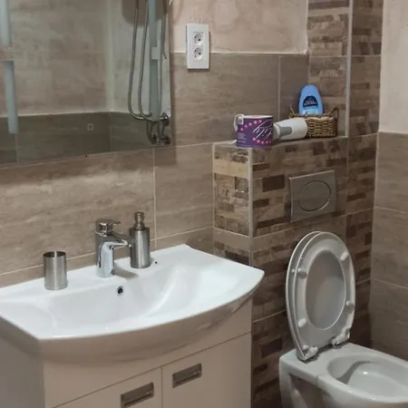 Mihailo Apartment Surcin